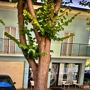 https://villetta-audrey-al-mare.riccione-hotels.org
